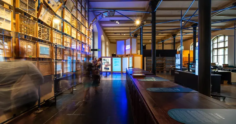 The digitize! gallery with the insect wall and digital media stations