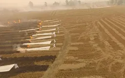 Vista aérea de varias personas vestidas de blanco corriendo por un campo seco y arrastrando largas pancartas blancas devoradas por las llamas