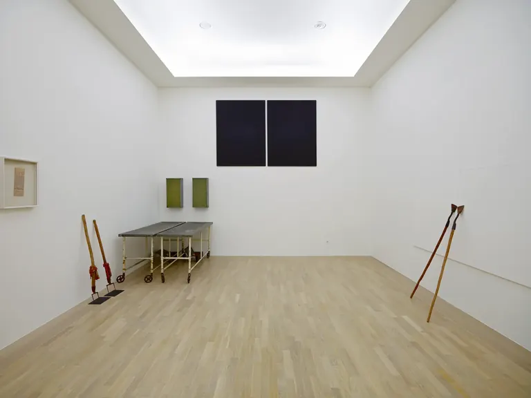 عمل تركيبي لجوزيف بويز في Lenbachhaus