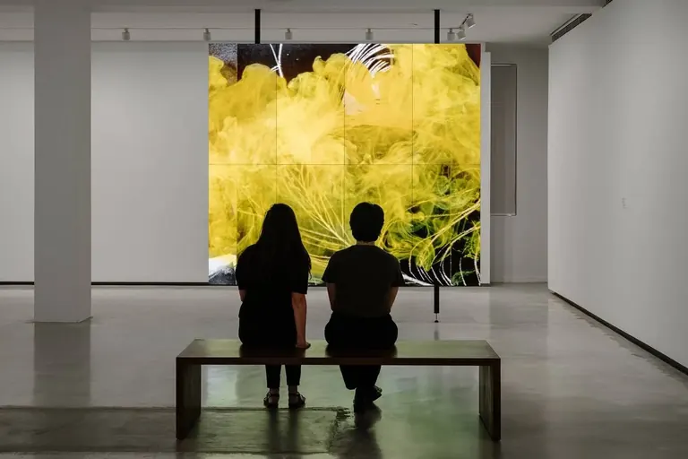 David Noonan, Mnemosyne, 2021, installation view, MCA Collection