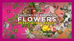 Flores. Exposição Wonderful Nature no Chiostro del Bramante