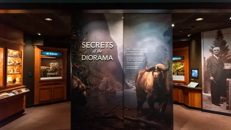 Διαδραστικό έκθεμα Secrets of the Diorama