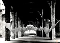Aurèlia Muñoz, Ocell-estel B2, 1982