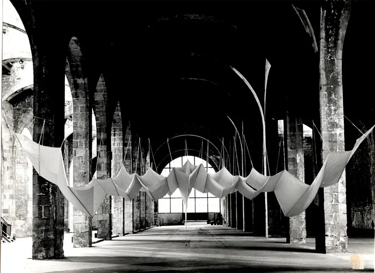 Aurèlia Muñoz, Ocell-estel B2, 1982