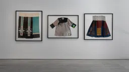 Installation view of Remy Faint: A Site of Unfolding at UNSW Galleries