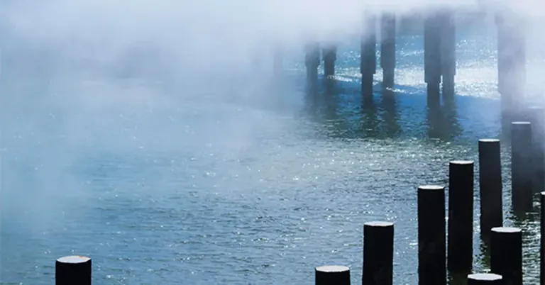 معروضات في الهواء الطلق على أرصفة Exploratorium