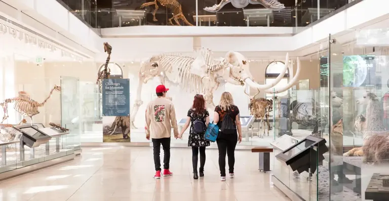 Des visiteurs traversent la salle Age of Mammals, passant devant un squelette de mastodonte et d’autres fossiles de mammifères