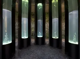 Œuvre de Hicham Berrada
