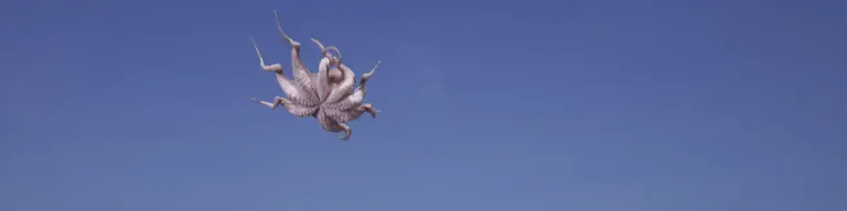 لقطة من العمل المرئي Things (2018) لـAsta Gröting: أخطبوط يطفو في مواجهة سماء زرقاء