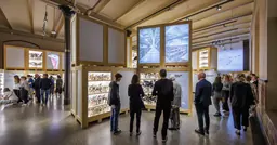 Historic mounted bird specimens in the ZUGvögel exhibition