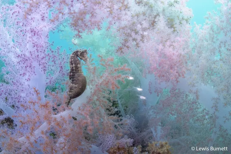 Award-winning nature photograph from the Australian Geographic Nature Photographer of the Year exhibition