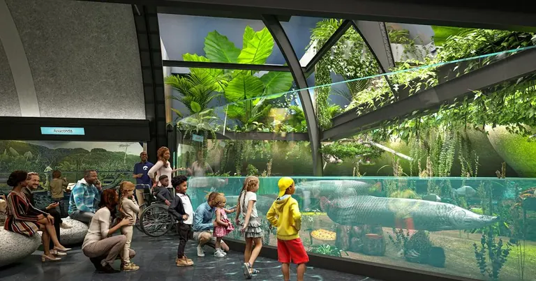 L’exposition Amazon Rising au Shedd Aquarium