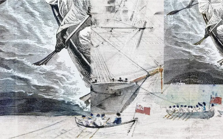 Dawit L. Petros, Stratigraphic II, II (2026)