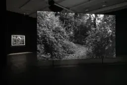 Vue de l’installation du film 350,000 de Dawoud Bey, projeté dans la galerie