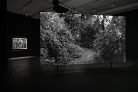Vue de l’installation du film 350,000 de Dawoud Bey, projeté dans la galerie