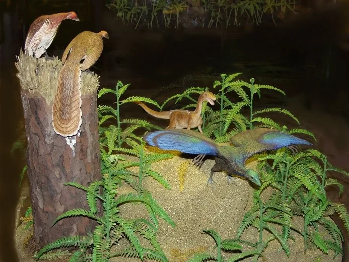 Présentation de fossiles et de dinosaures au Museum Mensch und Natur