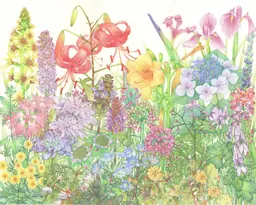 Hallasan, flores silvestres de la isla de Jeju (Wildflowers of Jeju Island), obra botánica presentada en la RHS Botanical Art and Photography Show