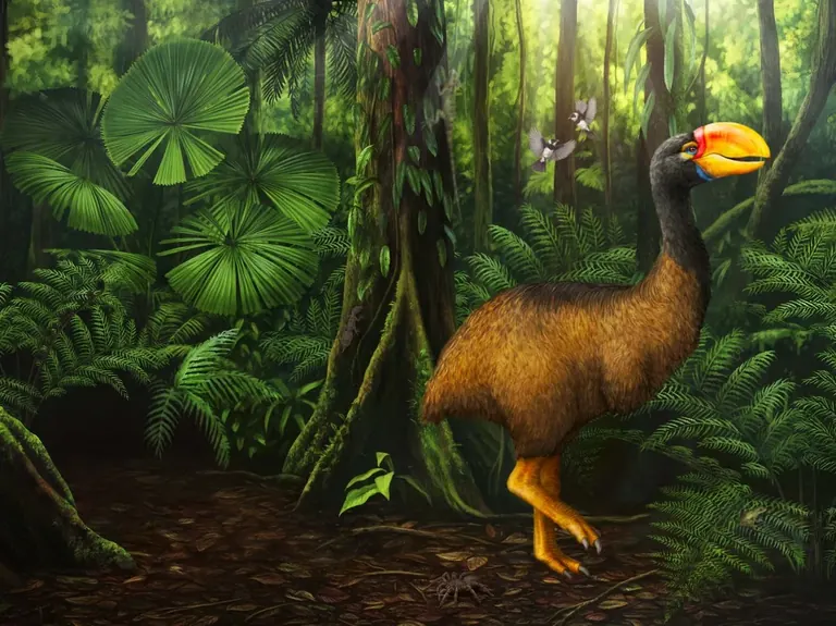 Surviving Australia gallery display of native wildlife