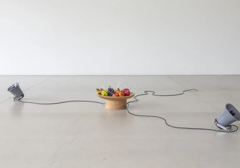 Yuko Mohri kinetic sculpture installation incorporating fruit, speakers and cables