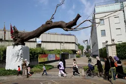 Giuseppe Penone's bronze sculpture In Limine at the Galleria d'Arte Moderna, Turin