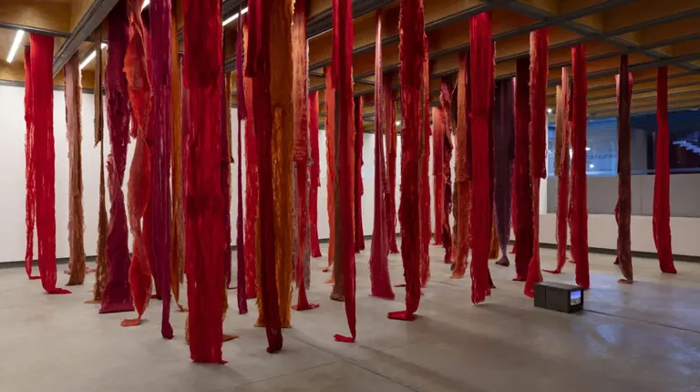 Cecilia Vicuña, Quipu menstrual (2006–2024)