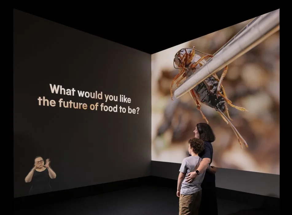 Visitor looking at a video display in the Future of Food exhibition at the Science Museum