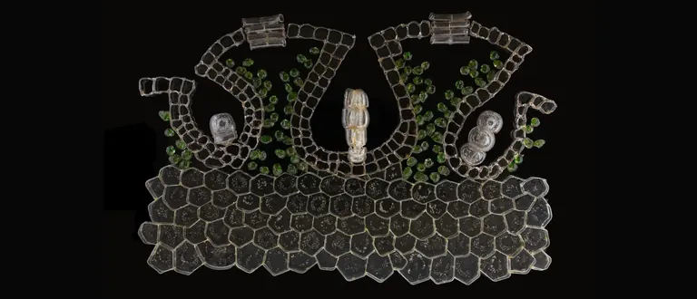 مجسّم زجاجي من صنع بلاشكا يوضح دورة حياة نبات Marchantia، وهو من الحزازيات الكبدية، في معرض «Lessons in Botany»