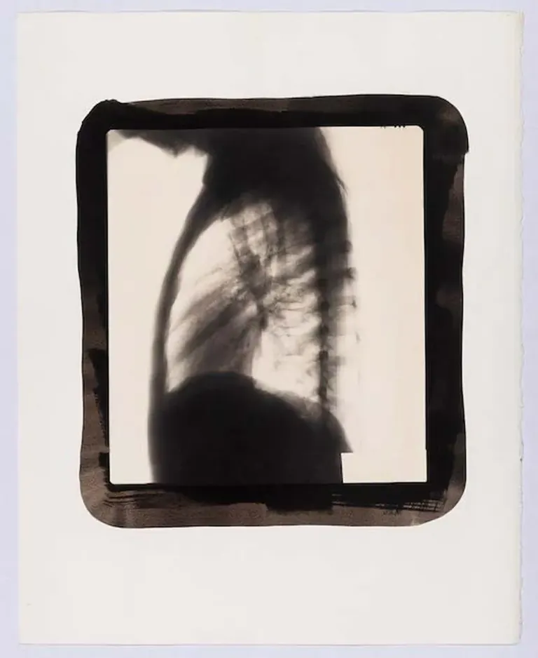 Œuvre présentée dans l’exposition How Do We Heal? au Smart Museum of Art