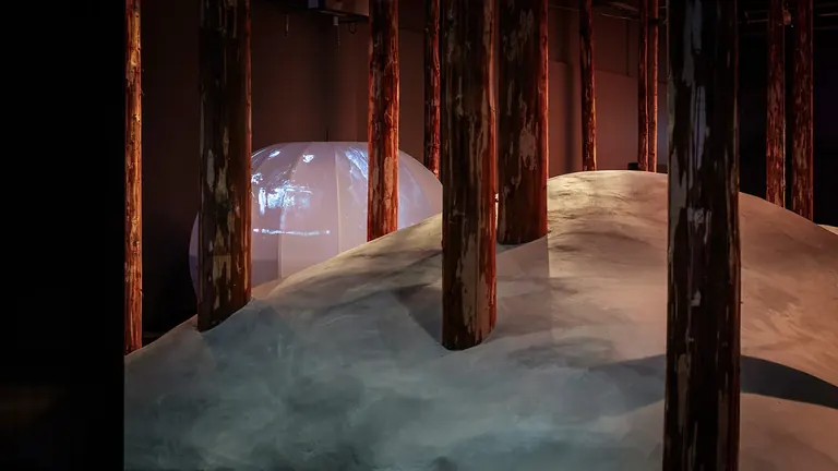 Exposition La forêt (The Forest) au Tekniska museet