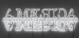 Glenn Ligon, Double America, 2012, neon and paint