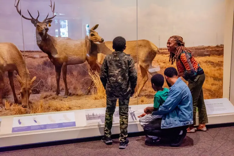 Des visiteurs dans la Gallery of California Natural Sciences