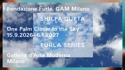 Shilpa Gupta, One Palm Closer to the Sky, GAM Milano