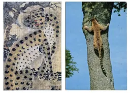 3 345 cartes postales : Rayyane Tabet et Jay DeFeo, CCA Wattis Institute