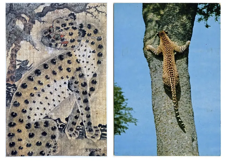 3 345 cartes postales : Rayyane Tabet et Jay DeFeo, CCA Wattis Institute