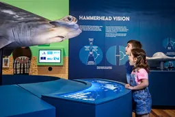 Two children gaze up at a life-size hammerhead shark model beside the Hammerhead Vision interactive in the Sharks exhibition