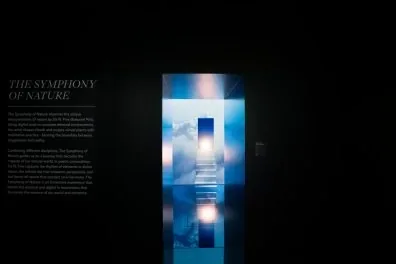 Accés a The Symphony of Nature, de Six N. Five, una exposició digital al Moco Museum Amsterdam