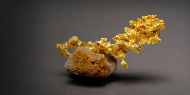Gold specimen on display in the Australian Museum Minerals Gallery