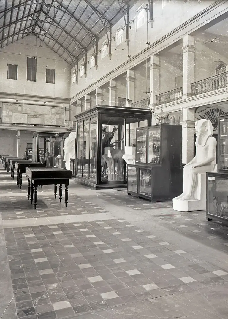 Macleay Museum collection, historical photograph circa 1893