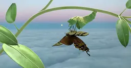 Metamorphosis، عمل من إبداع The Institute of Queer Ecology