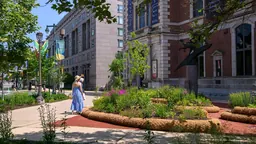 Installation d’un jardin de plantes indigènes sur la Benjamin Franklin Parkway
