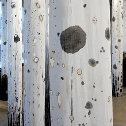 Katherine Steichen Rosing, Harbingers - tattered white linen columns charred with flame, suspended as a ghost forest