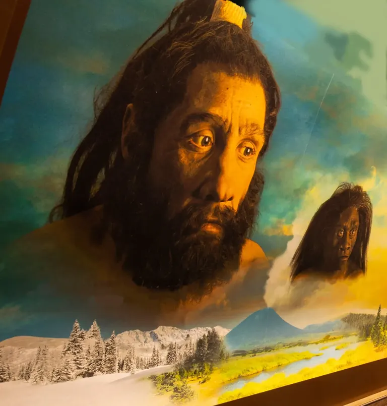 Illustration of an early human ancestor from the Hall of Human Origins