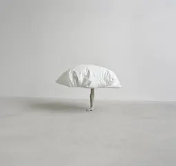Erwin Wurm, Dreamer
