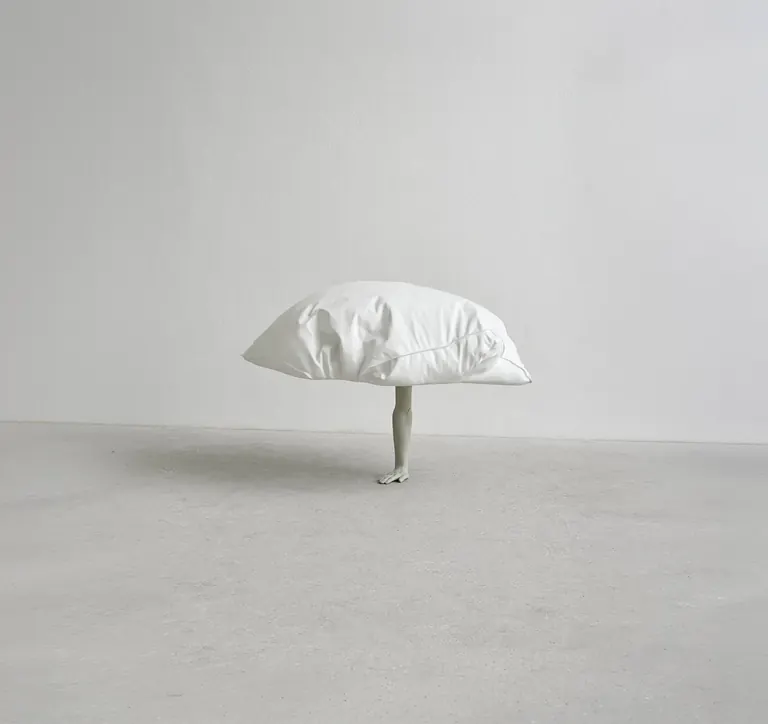 Erwin Wurm, Dreamer
