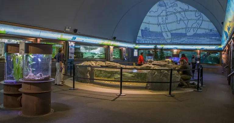 Shedd Aquariumeko At Home on the Great Lakes erakusketa