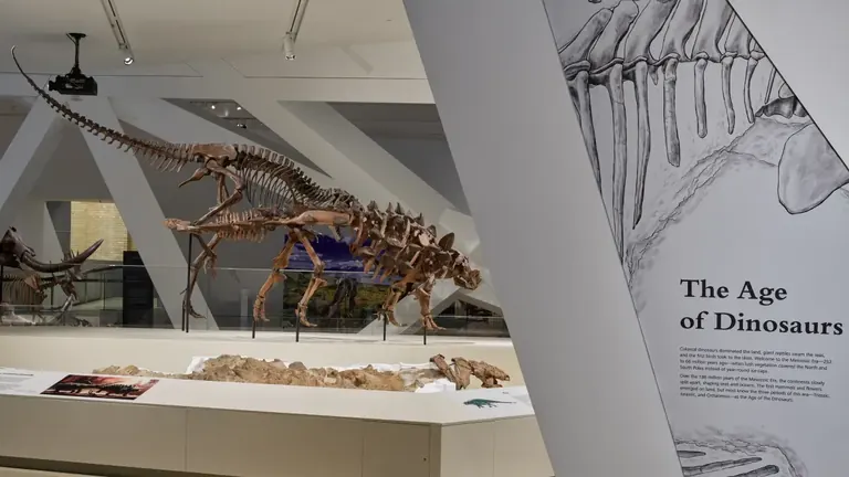 Squelettes de dinosaures dans les galeries Age of Dinosaurs du ROM