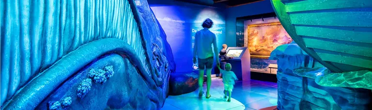 The Tale of the Whale exhibition at Het Scheepvaartmuseum