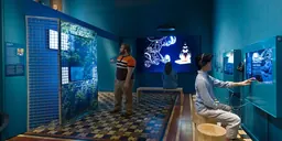 Shaping the Future Through Tradition exhibition artwork