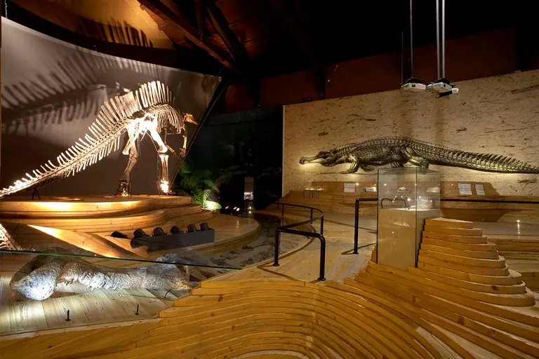 Vue panoramique de la salle de paléontologie Ligabue avec des squelettes de dinosaures