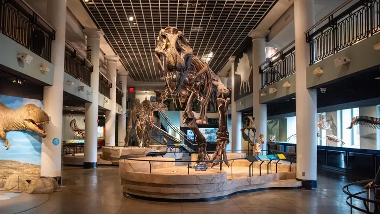 Dinosaur Hall à l’Academy of Natural Sciences